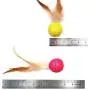 JpGdn 10Pcs Cat Toys Ball with Feather Kitten Balls with Bells Colorful Interactive Play Toy