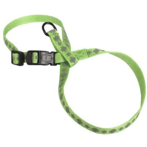 Hamilton 3/8-Inch Adjustable Reflective Figure 8 Pup-Cat Harness