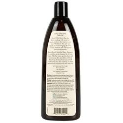 Burts Bees Care Plus+ Micellar Water Shampoo for Dogs | Cleanses & Balances Pets Coat | 16 oz