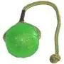 Starmark Everlasting Fun Ball on a Rope Dog Toy Starmark Everlasting Fun Ball on a Rope Dog Toy