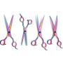 Professional Dog Grooming Scissors Set,Straight, Thinning ,Curved Scissors ,4pcs Set for Dog Grooming (rainbow)