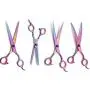 Professional Dog Grooming Scissors Set,Straight, Thinning ,Curved Scissors ,4pcs Set for Dog Grooming (rainbow)