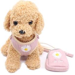Pet Vest Harness with Leash for Puppy Dog and Cat,Matching Food Bag for Outdoor Walking or Hiking,Soft/Cosy Mesh for Small Dog Puppy Pets