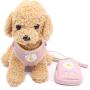 Pet Vest Harness with Leash for Puppy Dog and Cat,Matching Food Bag for Outdoor Walking or Hiking,Soft/Cosy Mesh for Small Dog Puppy Pets