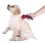 Penn-Plax ComfyGroom Deshedding Brush - For Dogs or Cats – Quick and Easy Grooming | Comfortable for your pet and easily comb out excess pet hair | Simple push button disposable makes clean up a snap