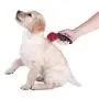 Penn-Plax ComfyGroom Deshedding Brush - For Dogs or Cats – Quick and Easy Grooming | Comfortable for your pet and easily comb out excess pet hair | Simple push button disposable makes clean up a snap Penn-Plax ComfyGroom Deshedding Brush - For Dogs or Cats – Quick and Easy Grooming | Comfortable for your pet and easily comb out excess pet hair | Simple push button disposable makes clean up a snap