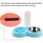Creation Core Pet Slow Feeder Bowl with Automatic Water Dispenser and Stainless Steel Bowl for Small Medium Dogs Cats, Blue