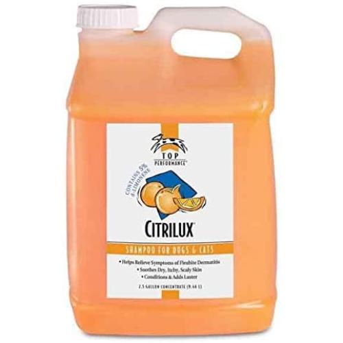 Top Performance CitriLux Pet Shampoo Ready to Use Dog & Cat Grooming 2.5 Gallon Citrus Scented