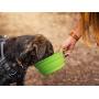 Mighty Paw Collapsible Travel Dog Bowl Set - 2 Pack (27 Oz) | Food Safe Silicone Food & Water Bowls for Pets. Bonus Carabiner Clip for Hiking, Camping or Walking. Lightweight & Leak-Proof