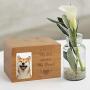 Terby Cremation Urns for Ashes Pets Memorial Keepsake Box Pet Keepsake Urn for Dogs and Cats Small Animal Funeral Cremation Urn with Photo Frame Burly Wood Cremation Box for Small Medium Animals