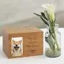 Terby Cremation Urns for Ashes Pets Memorial Keepsake Box Pet Keepsake Urn for Dogs and Cats Small Animal Funeral Cremation Urn with Photo Frame Burly Wood Cremation Box for Small Medium Animals Terby Cremation Urns for Ashes Pets Memorial Keepsake Box Pet Keepsake Urn for Dogs and Cats Small Animal Funeral Cremation Urn with Photo Frame Burly Wood Cremation Box for Small Medium Animals