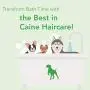 Kibble Pet Salon Quality Dog Conditioner Hypoallergenic | Made with Natural and Organic Ingredients | 6 Month Supply | Made in The USA | 13.5oz
