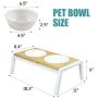 WANTRYAPET Elevated Dog Bowls Antirust Stainless Steel Raise Pet Feeder for Dog Cat