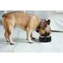 PetHaven Dog Bowl Cat Bowl for Food and Water, Stainless Steel Double-Wall Metal,Keeps Cold for Hrs, Non Slip Feeding Dish, Anti-Rust, Small Medium Large Pets - 56 Ounces