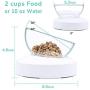 LumoLeaf Dog Cat Bowls, Elevated Cat Bowl, Transparent Raised Tilted Cat Food Water Bowl, Detachable & 0-30° Cat Food Dish Stand for Kitty and Puppy, Stress Free, Dishwasher Safe.