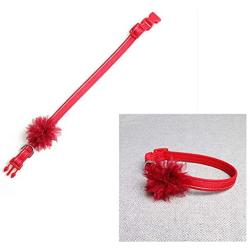 Axgo Adjustable Cute Kitten Puppy Collar with Ribbon Flower for Cats and Small Dogs