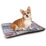 DayDayFun Paris Pet Mat Bed Famous Eiffel Tower Reflected On Water Picture Historical French Architecture Pet Mats are Not Sticky Blue Green Grey