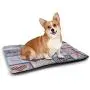 DayDayFun Paris Pet Mat Bed Famous Eiffel Tower Reflected On Water Picture Historical French Architecture Pet Mats are Not Sticky Blue Green Grey