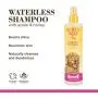 Burts Bees for Dogs Natural Waterless Shampoo Spray with Apple and Honey | Puppy and Dog Spray, Burts Bees for Dogs Natural Waterless Shampoo Spray with Apple and Honey | Puppy and Dog Spray,