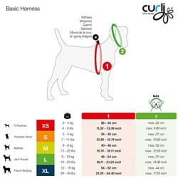 Curli Basic Air Mesh Harness