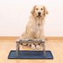 Hiado Dog Bowl Mat Small (19x12), Large (24x16), Raised Edges Non Skid Spill Proof with Lip Waterproof Silicone for The Floor