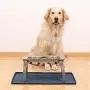 Hiado Dog Bowl Mat Small (19x12), Large (24x16), Raised Edges Non Skid Spill Proof with Lip Waterproof Silicone for The Floor Hiado Dog Bowl Mat Small (19x12), Large (24x16), Raised Edges Non Skid Spill Proof with Lip Waterproof Silicone for The Floor