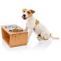 Premium 7'' Elevated Dog and Cat Pet Feeder, Double Bowl Raised Stand Comes with Extra Two Stainless Steel Bowls. Perfect for Dogs and Cats.