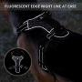 Rision Dog Harness No Pull Dog Harness Adjustable Outdoor Reflective Pet Vest No-Pull Dog Harness with 2 Leash Clips for Small, Medium, Large Dogs, Easy Control Handle for Walking