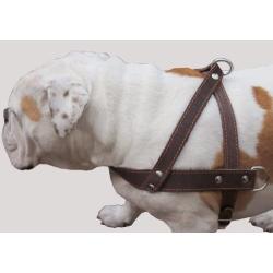 Genuine Brown Leather Dog Pulling Walking Harness XLarge. 35''-39.5'' Chest, 1.5'' Wide Straps