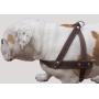 Genuine Brown Leather Dog Pulling Walking Harness XLarge. 35''-39.5'' Chest, 1.5'' Wide Straps