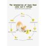 EXTREMEWORLD Windmill Cat Toy Built-in Rotating Led Light and Suction Cup Base