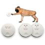 My Doggy Place - Dog Pet Children Toddler, Wireless Doorbell, No Batteries Required, Electronic Chime Bell, Potty Training, for Small, Medium, Large Dogs