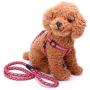 HIFEOS Cat Harness - Retractable Dog Leash Set of 2, Escape Proof Pet Harnesses with Reflective Strap, Soft Mesh Walking Jacket for Kitten, Dog & Puppies