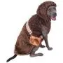 Rubies Star Wars Chewbacca Hoodie Pet Costume Rubies Star Wars Chewbacca Hoodie Pet Costume
