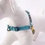 OllyDog Essential Harness, Leash Clip on Chest or Back, Reduced Pulling, Lightweight, Low-Profile, Durable for Everyday Walks and Adventures, for Small, Medium, or Large Dogs