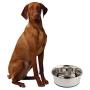 OurPets Premium DuraPet Dog Bowl 1.25qt