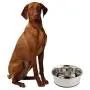 OurPets Premium DuraPet Dog Bowl 1.25qt OurPets Premium DuraPet Dog Bowl 1.25qt