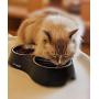 Joy Melody Elevated Cat Bowls, Raised Small Dog Dish with Heavy Stand, Stainless Steel Food and Water Pet Feeder, Anti-Slip, Dishwasher Safe with Cleaning Cloth