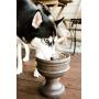 Pet Junkie Summit Elevated Dog Bowl for Food or Water, Stainless Steel Washable Inner Bowl, Brown