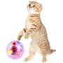 TeenTop Pet Interactive Plastic Ball, Durable Luminescent Transparent Toy Cat Ball Toy Lighting for Kitten Exercise Relief Boredom Boring