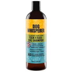 YAYA ORGANICS Dog Whisperer Tick + Flea Dog Shampoo