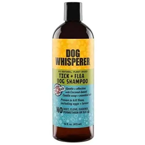 YAYA ORGANICS Dog Whisperer Tick + Flea Dog Shampoo YAYA ORGANICS Dog Whisperer Tick + Flea Dog Shampoo