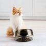 Raised cat Food Bowl, 0-22° Adjustable Tilted Dog Bowl Elevated with Stand, Enhanced pet Dish Feeding Food and Water for Cats and Small Dogs