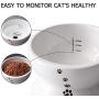 Y YHY Cat Bowls Elevated, Raised Cat Dish for Food and Water, Ceramic Water Bowl for Flat-Faced Cats or Small Dogs, No Spill,15 Ounces, Dishwasher Safe