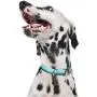 Now House for Pets by Jonathan Adler Green Chroma Collar, Large | Stylish and Fashionable Way to Keep Your Dog Looking Great | Cute and Adorable Dog Accessories for Pets, Chromatic Now House for Pets by Jonathan Adler Green Chroma Collar, Large | Stylish and Fashionable Way to Keep Your Dog Looking Great | Cute and Adorable Dog Accessories for Pets, Chromatic