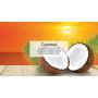 LITTLE TREES Car Air Freshener I Hanging Tree Provides Long Lasting Scent for Auto or Home I Coconut, 24 Count, (4) 6-Packs