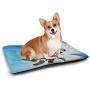 DayDayFun Hockey Cute Pet Mat Grungy Retro Style Halftone Background with a Goaltender Figure in Circle Non-Slip Dog Pads Pale Blue Black White