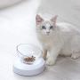 JiangYan-US Raised Cat Bowls 0°-20° Tilted Cat Food Water Bowl, Elevated Cat Bowls Feeder Dish Stress-Free Suit for Cats Small Dogs