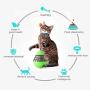 FWQFEW Tumbler cat Toy, Pets Spill The Ball, Cat Toy Ball, Educational Interactive Toys (Color : Green)