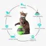 FWQFEW Tumbler cat Toy, Pets Spill The Ball, Cat Toy Ball, Educational Interactive Toys (Color : Green) FWQFEW Tumbler cat Toy, Pets Spill The Ball, Cat Toy Ball, Educational Interactive Toys (Color : Green)